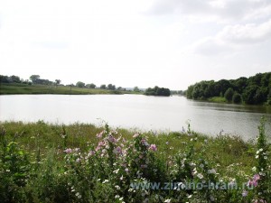 Озеро май 2009 года возле усадьбы Желтухина